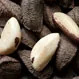 How Many Brazil Nuts Are Radiation Poisoning?