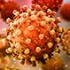 How Dangerous Is the Coronavirus Disease?