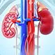 What Does 3b Mean in Kidney Disease?