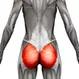 Gluteal Injury