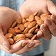 Diet and Nutrition: Health Benefits of Almonds