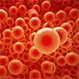 How Do I Increase My Hemoglobin?