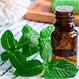 Your Health: How to Stock Your Natural Medicine Cabinet