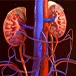 How Long Can a Person Live With Stage V Kidney Failure Without Dialysis?
