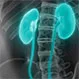 Surprising Things That Can Hurt Your Kidneys