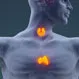 What Does the Thymus Do?