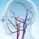 Why Would You Have a Temporal Artery Biopsy?